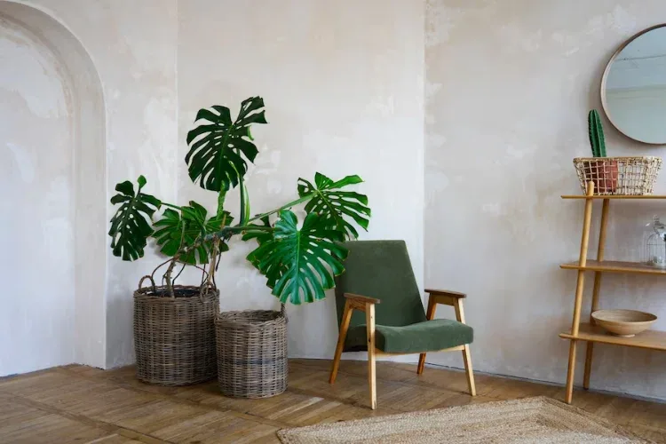 inspirasi taman indoor minimalis